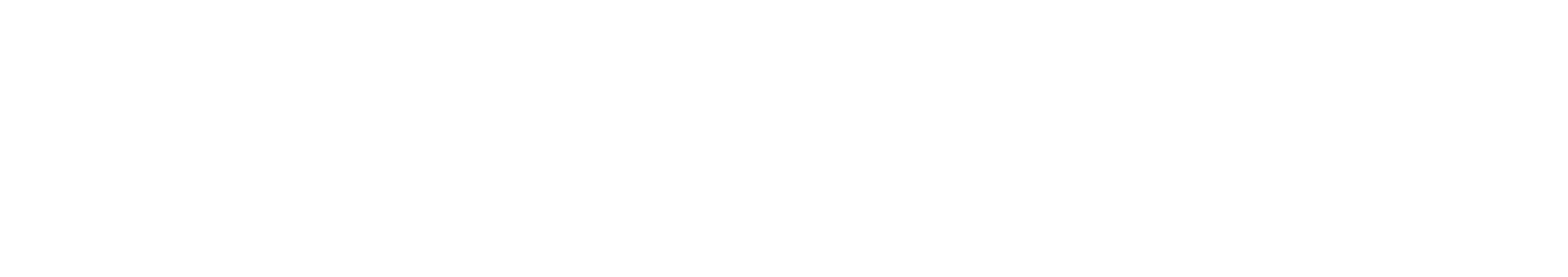 Logo StadiumGO
